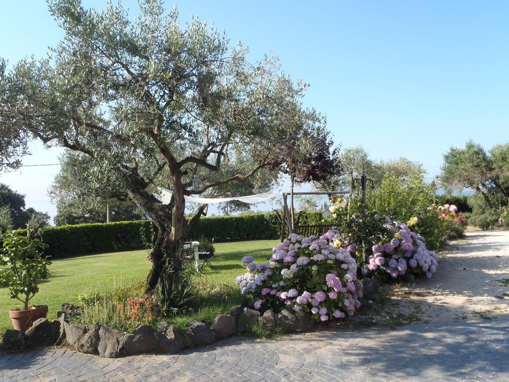 Il Poggio Degli Ulivi Leilighet Trevignano Romano Rom bilde