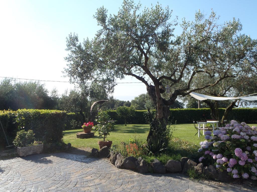 Il Poggio Degli Ulivi Leilighet Trevignano Romano Rom bilde