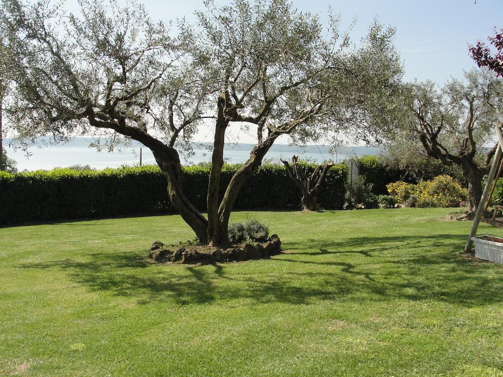 Il Poggio Degli Ulivi Leilighet Trevignano Romano Rom bilde