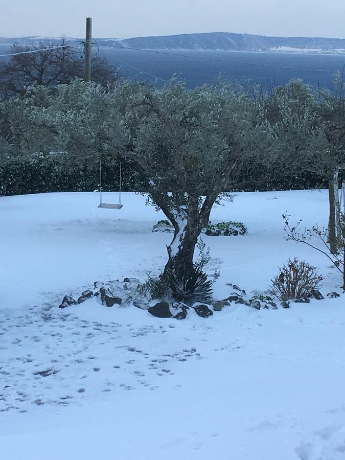 Il Poggio Degli Ulivi Leilighet Trevignano Romano Eksteriør bilde