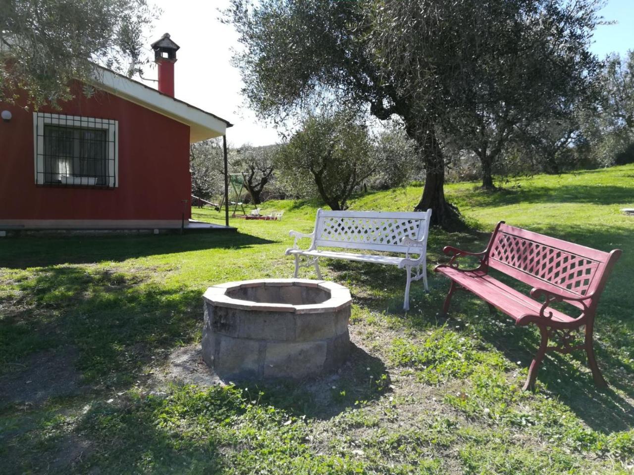 Il Poggio Degli Ulivi Leilighet Trevignano Romano Eksteriør bilde